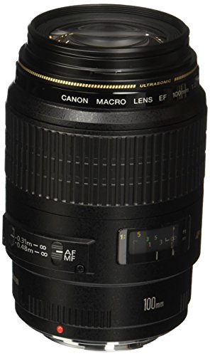 Best Canon Lenses Canon EF 100mm
