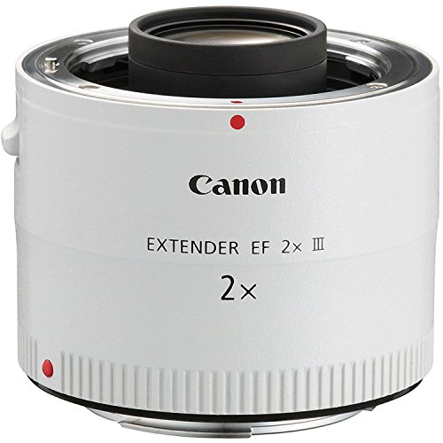 Best Canon Lenses Canon EF 2.0X III